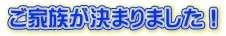 Ƒ܂܂I